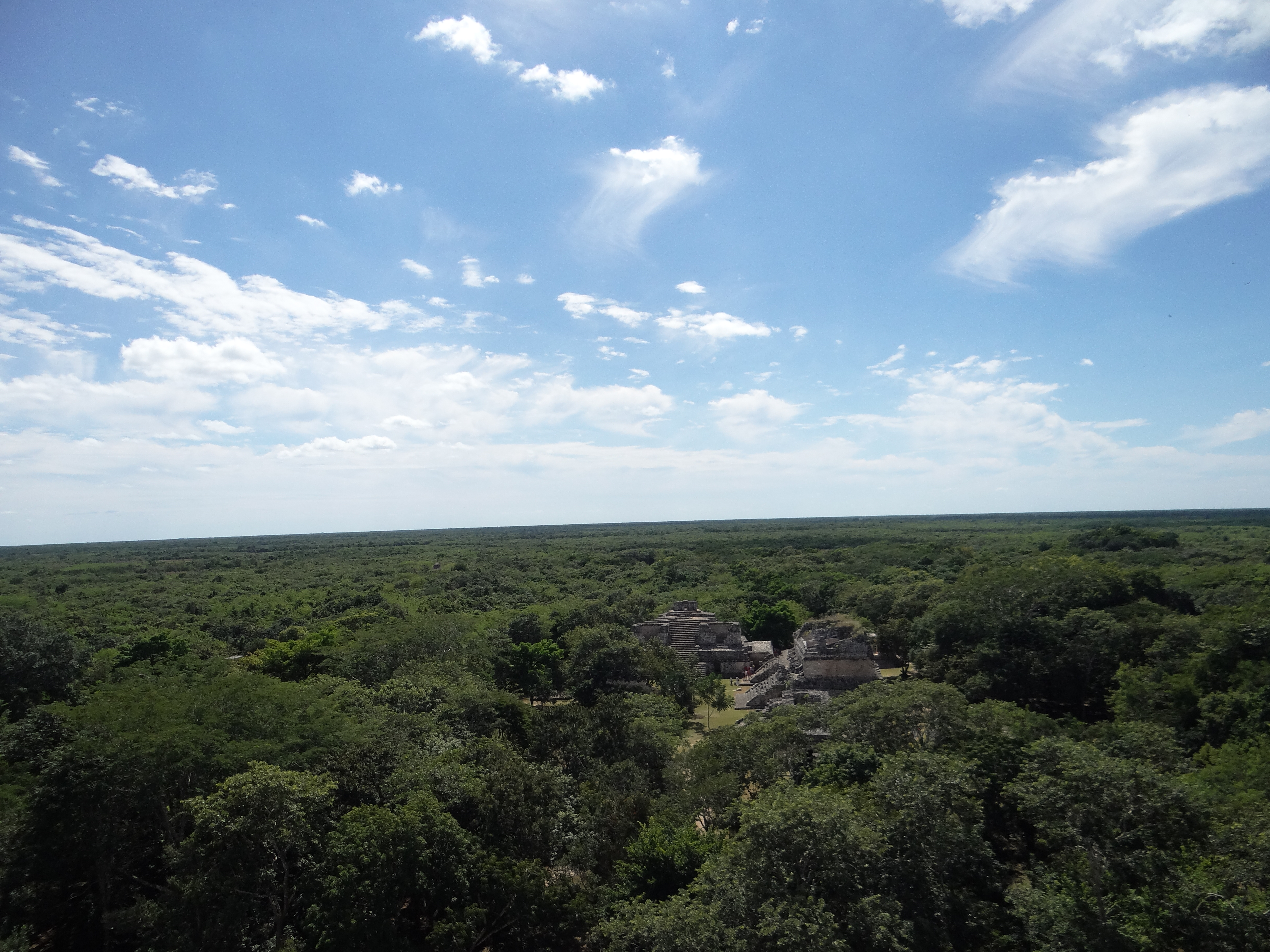 Cobá & Punta Laguna spider monkeys