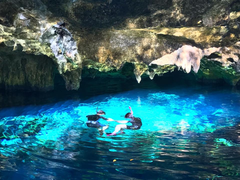 Gran Cenote half day