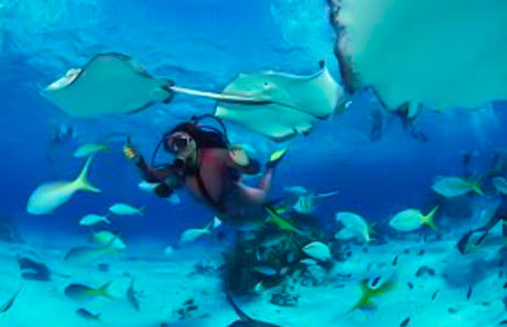 Isla Mujeres day trip